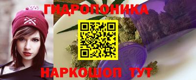 МДПВ Пушкино