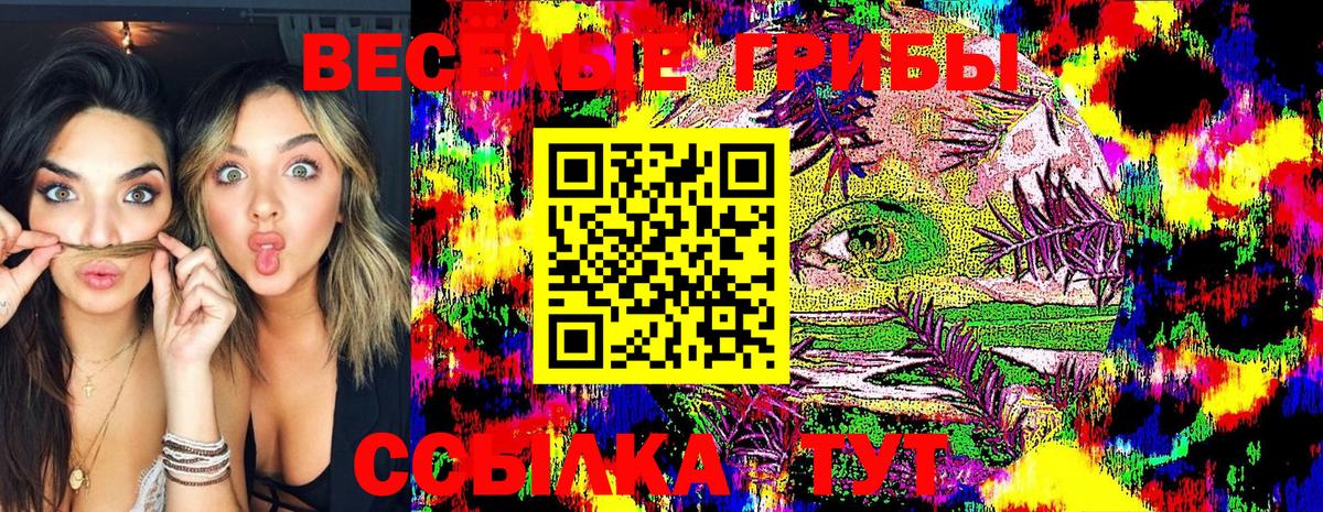 Галлюциногенные грибы MAGIC MUSHROOMS Ртищево